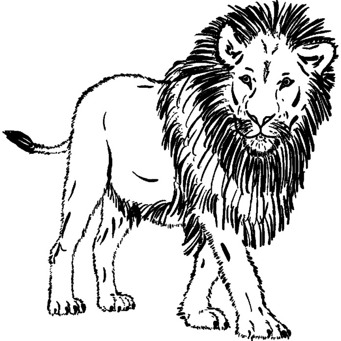 'Lion' Rubber Stamp - Unmounted Design for Crafting & Scrapbooking (RS025315)
