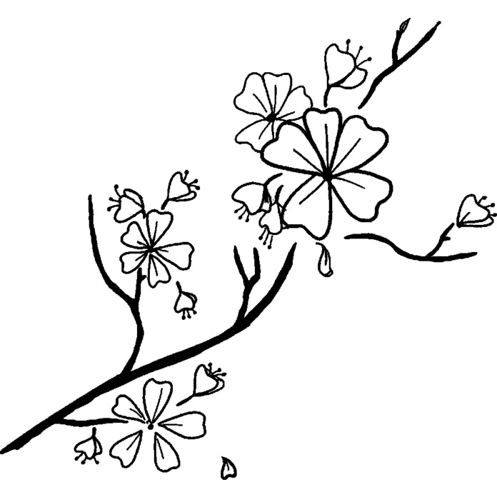 'Cherry Blossom' Unmounted Rubber Stamp (RS026667)