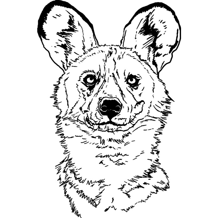 'African Wild Dog' Unmounted Rubber Stamp - For Crafting, Scrapbooking and Card Making - Size A8 (RS00035427)