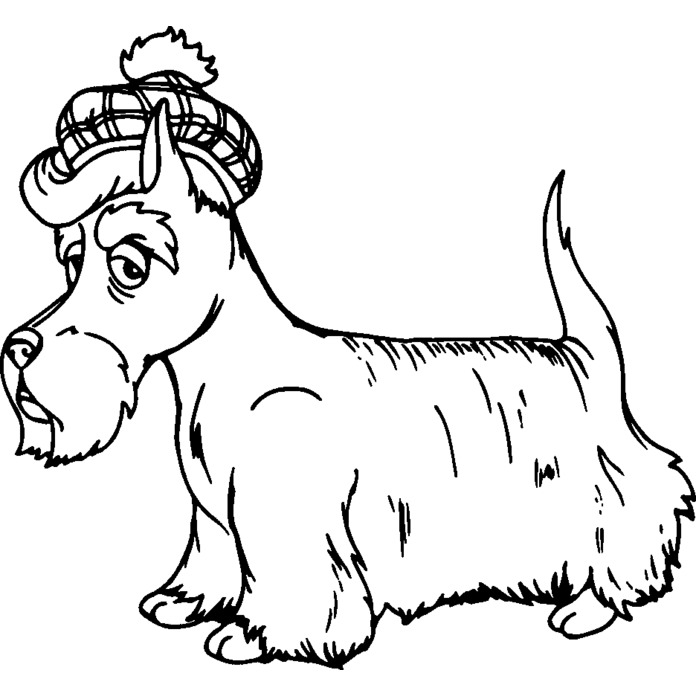 'Scottish Terrier' Unmounted Rubber Stamp - For Crafting, Scrapbooking and Card Making - Size A8 (RS00035693)
