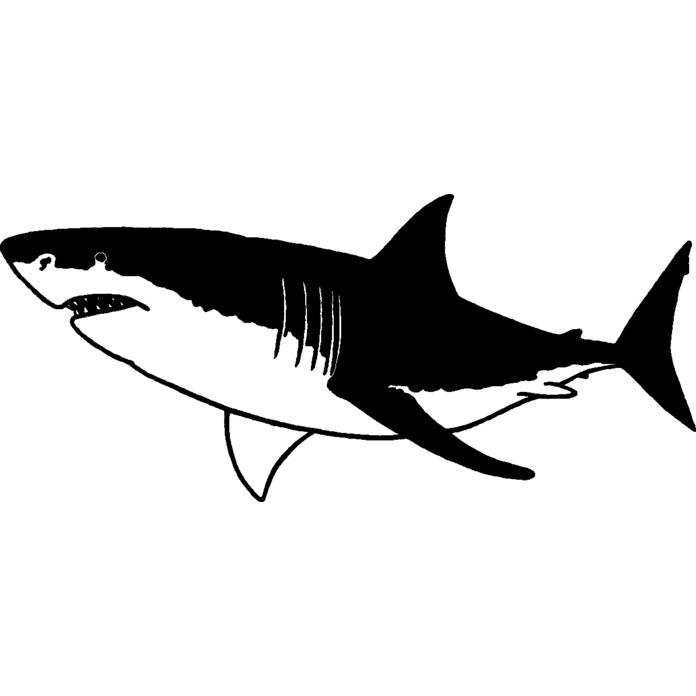 'Great White Shark' Unmounted Rubber Stamp - For Crafting, Scrapbooking and Card Making - Size A8 (RS00036223)