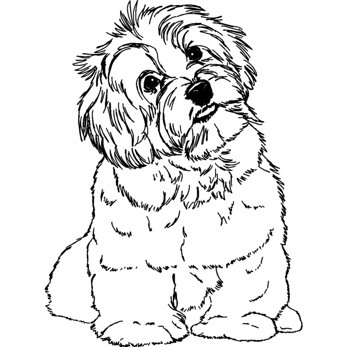 'Havanese Puppy' Unmounted Rubber Stamp -  For Crafting, Scrapbooking and Card Making - Size A8 (RS00037001)
