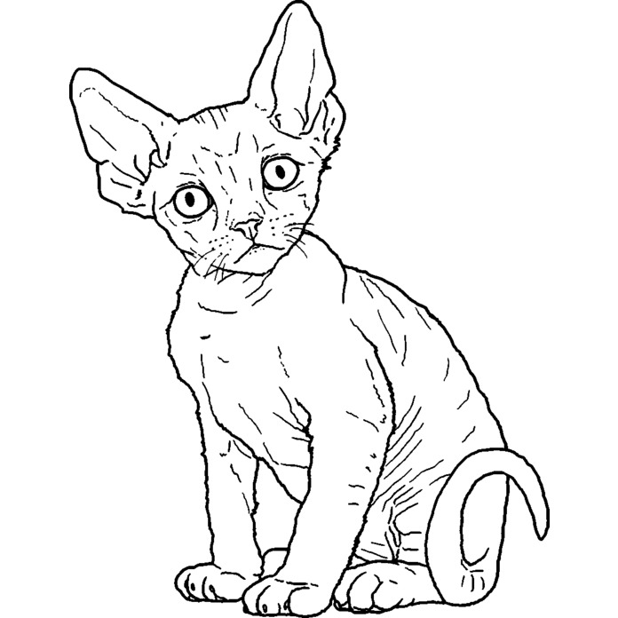 'Devon Rex Kitten' Unmounted Rubber Stamp - For Crafting, Scrapbooking and Card Making - Size A8 (RS00038127)