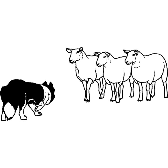 'Dog Herding Sheep' Unmounted Rubber Stamp (RS035561) - Picture 5 of 6