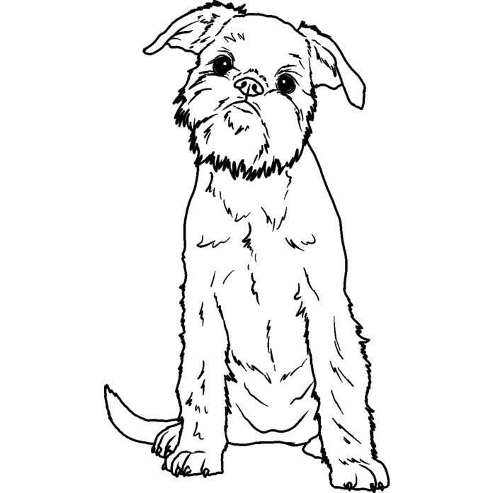 'Brussels Griffon' Unmounted Rubber Stamp - For Crafting, Scrapbooking and Card Making - Size A8 (RS00046380)