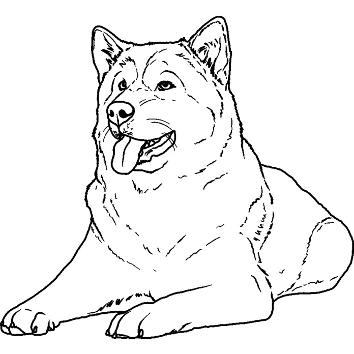 'Alaskan Malamute' Unmounted Rubber Stamp - For Crafting, Scrapbooking and Card Making - Size A8 (RS00046780)