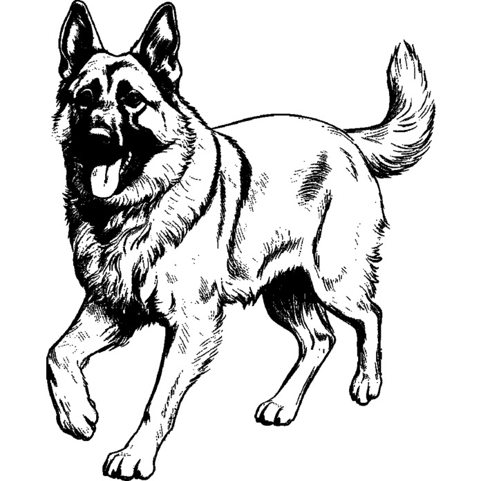 'German Shepherd Walking' Unmounted Rubber Stamp - For Crafting, Scrapbooking and Card Making - Size A8 (RS00051758)