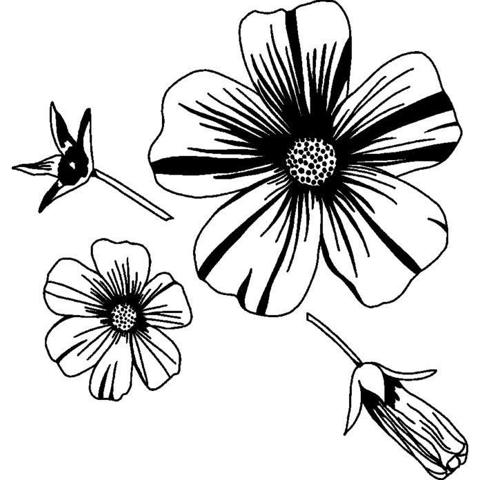 'Flower Heads & Seed Pod' Unmounted Rubber Stamp - For Crafting, Scrapbooking and Card Making - Size A8 (RS00053052)