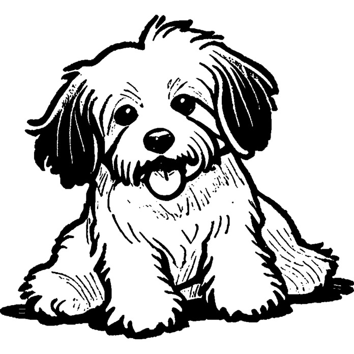 'Havanese Dog Sitting' Unmounted Rubber Stamp -  For Crafting, Scrapbooking and Card Making - Size A8 (RS00054014)