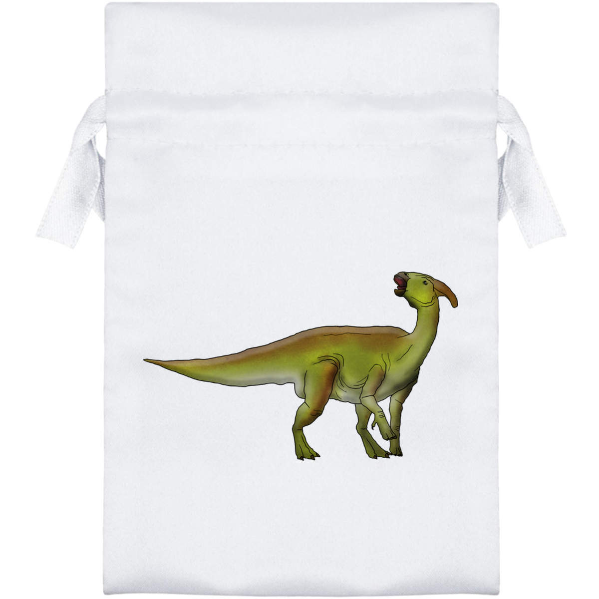 'Parasaurolophus' Satin Drawstring Bag/Pouch (SB029484)