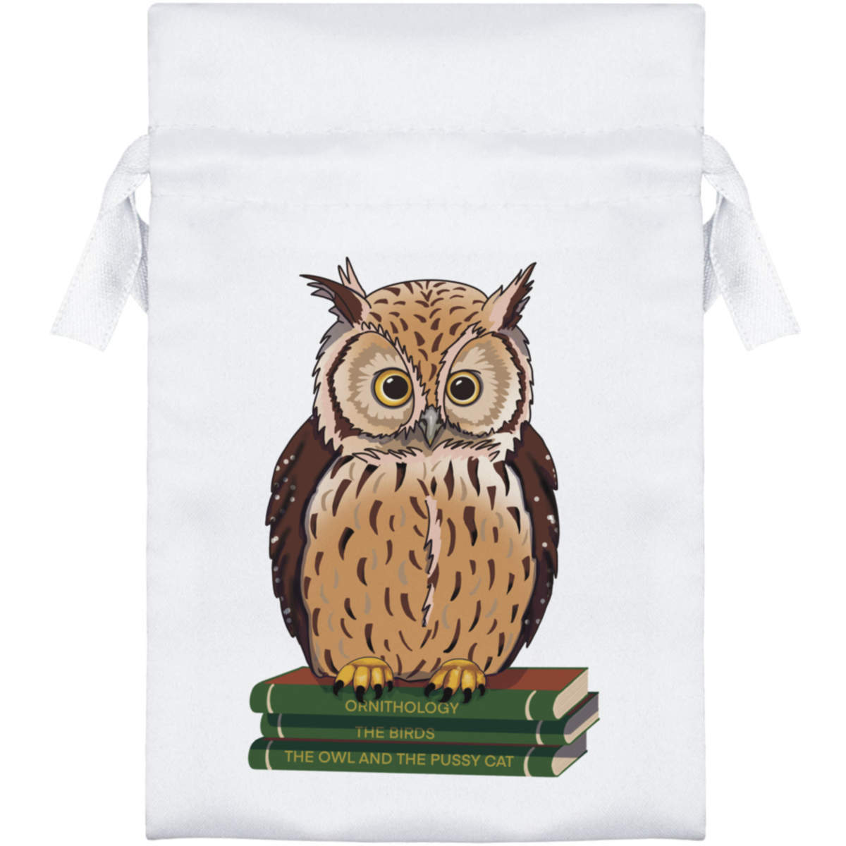 'A Cute Owl on a Stack of Books' Satin Drawstring Bag/Pouch (SB043101)