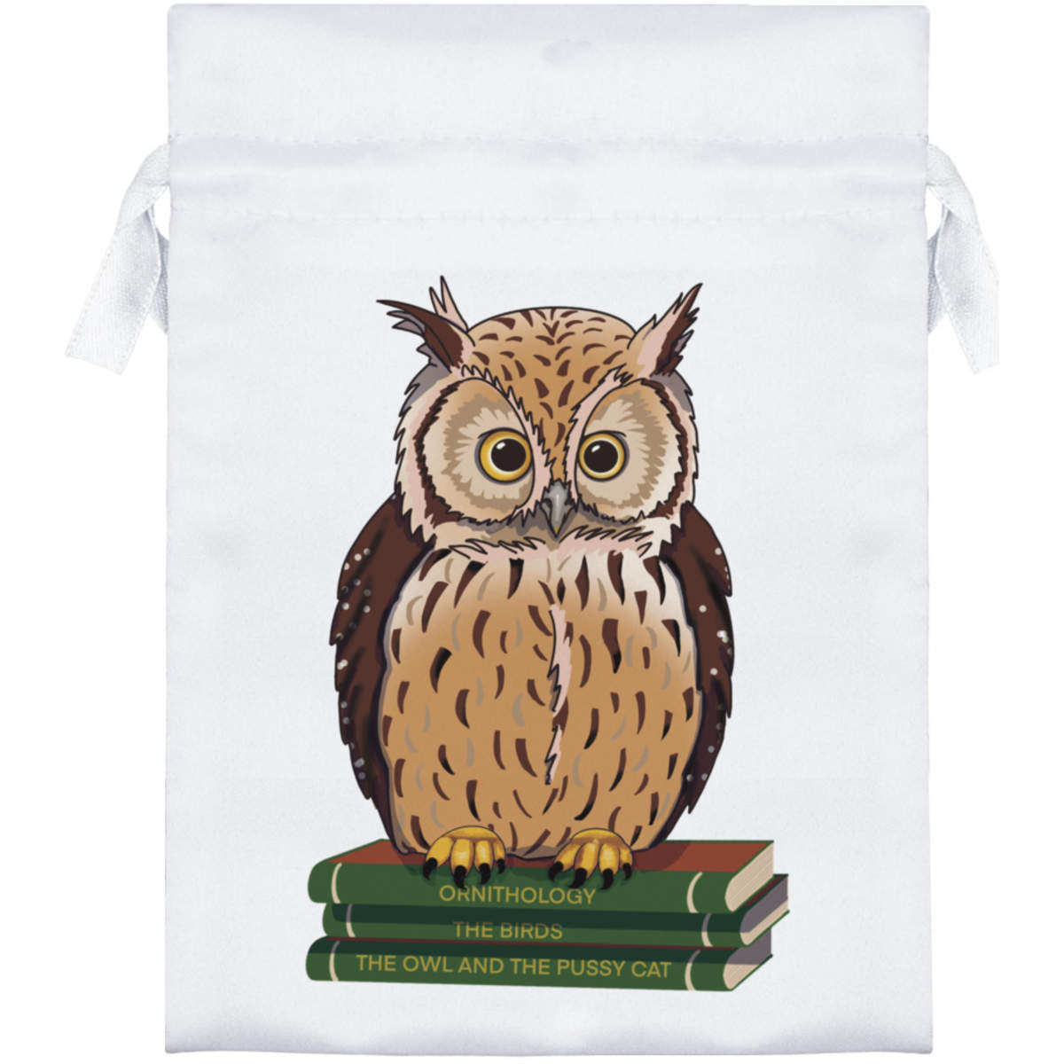 18cm 'A Cute Owl on a Stack of Books' Satin Drawstring Bag / Pouch (SB00080531)