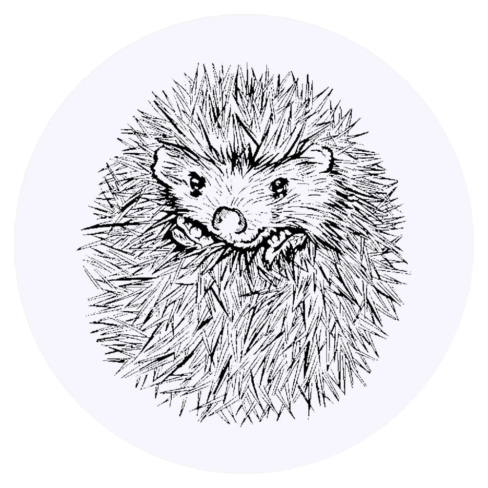24 x 'Cute Hedgehog' Stickers - for Crafts, Scrapbooking and Labelling (SK00008597)