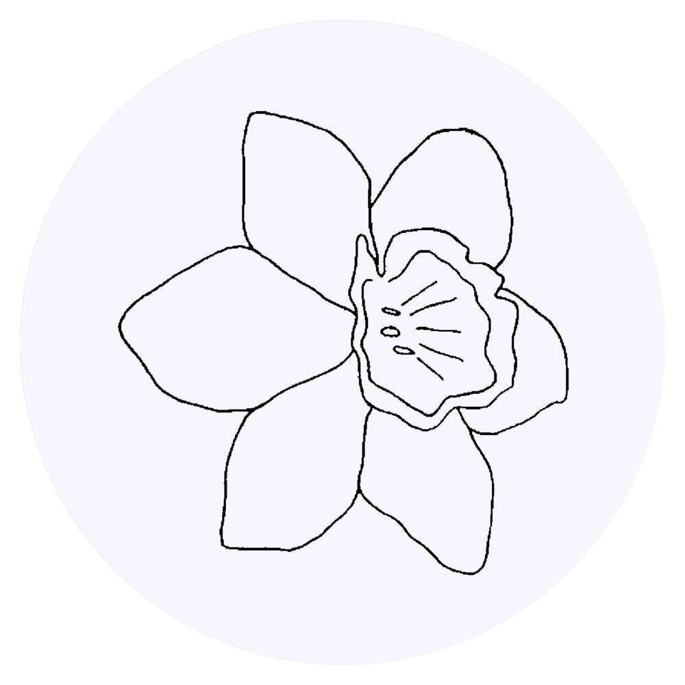 24 x 'Daffodil' Stickers - for Crafts, Scrapbooking and Labelling (SK00015007)