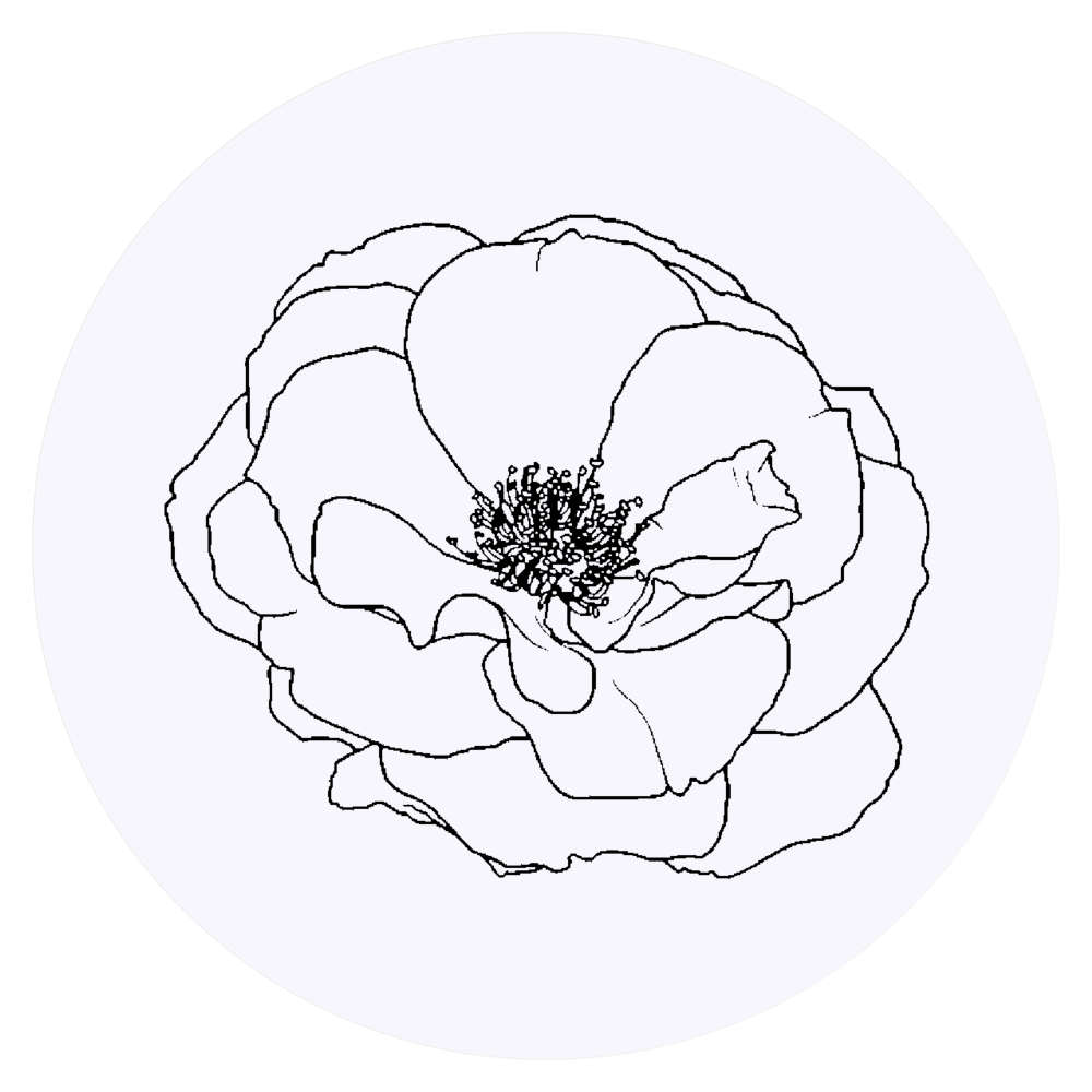 24 x 'Wild Rose' Stickers - for Crafts, Scrapbooking and Labelling (SK00041496)