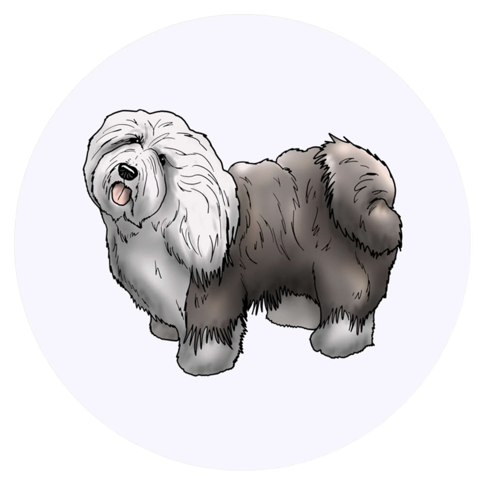 24 x 'Old English Sheepdog' Stickers - for Crafts, Scrapbooking and Labelling (SK00044019)