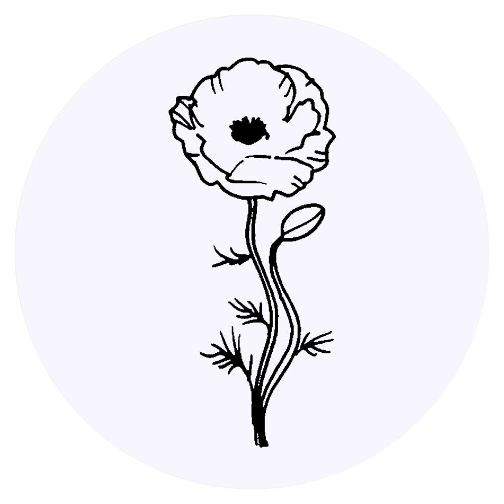 24 x 'Poppy' Stickers - for Crafts, Scrapbooking and Labelling (SK00044970)