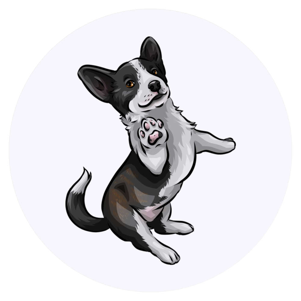 24 x 'Cardigan Welsh Corgi' Stickers - for Crafts, Scrapbooking and Labelling (SK00045169)