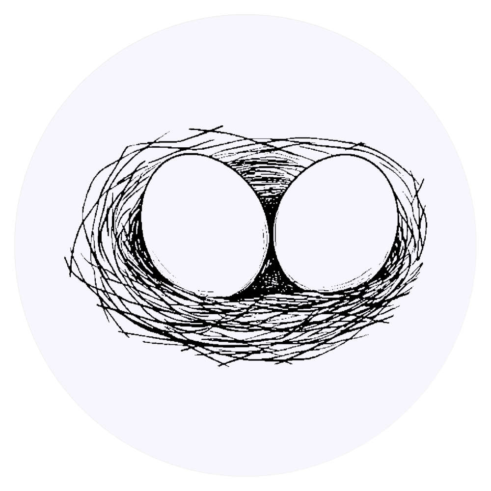24 x 'Bird Nest' Stickers - for Crafts, Scrapbooking and Labelling (SK00070388)