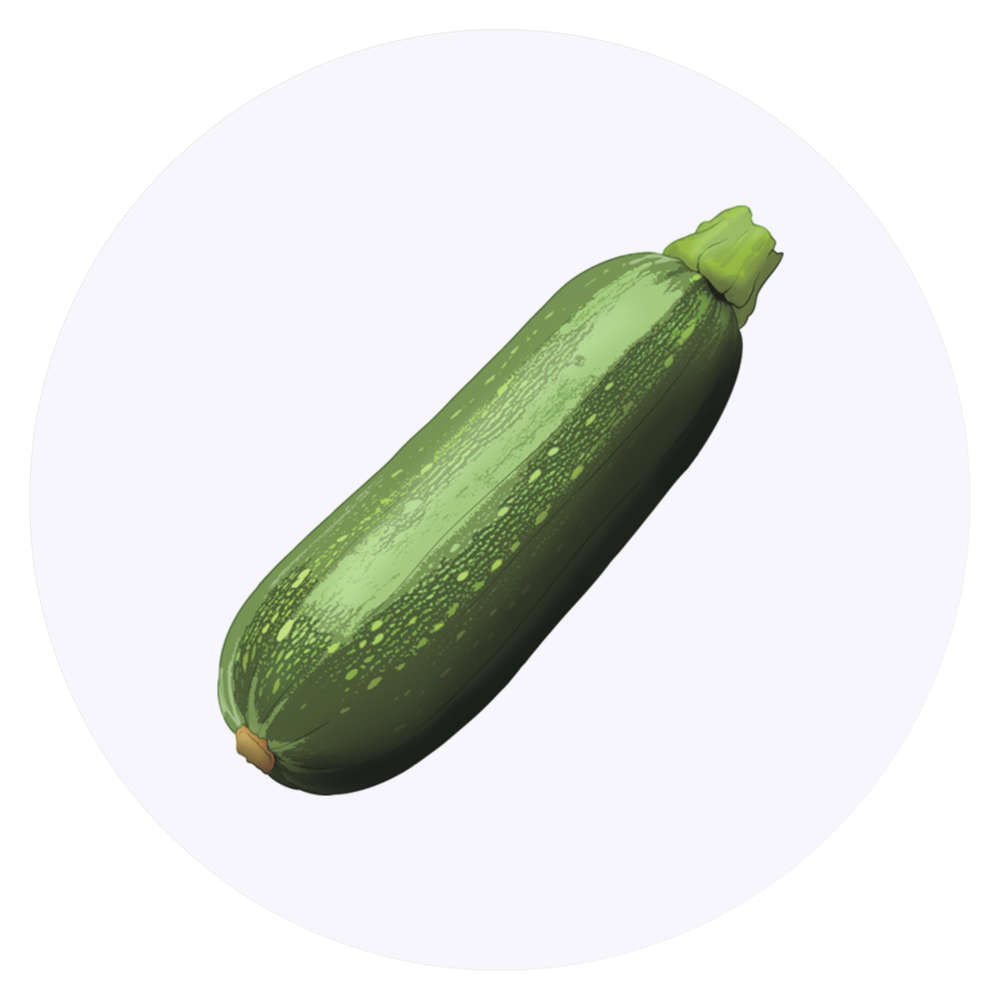 24 x 'Fresh Courgette' Stickers - for Crafts, Scrapbooking and Labelling (SK00071829)