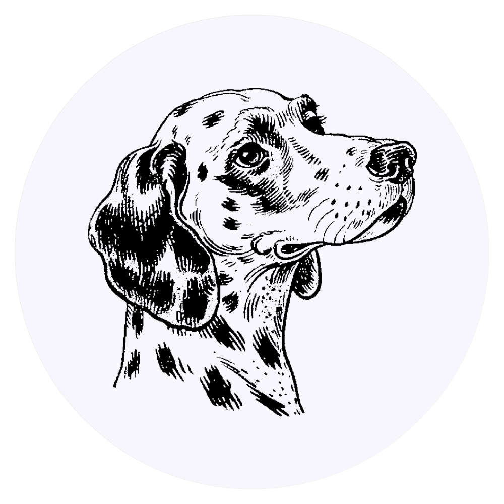 24 x 'Dalmatian Dog Portrait Side View' Stickers - for Crafts, Scrapbooking and Labelling (SK00072561)