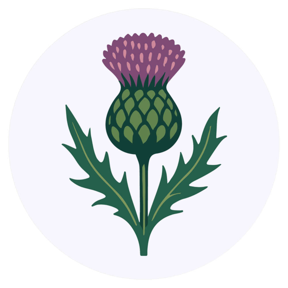 24 x 'Blooming Thistle Flower' Stickers - for Crafts, Scrapbooking and Labelling (SK00073571)