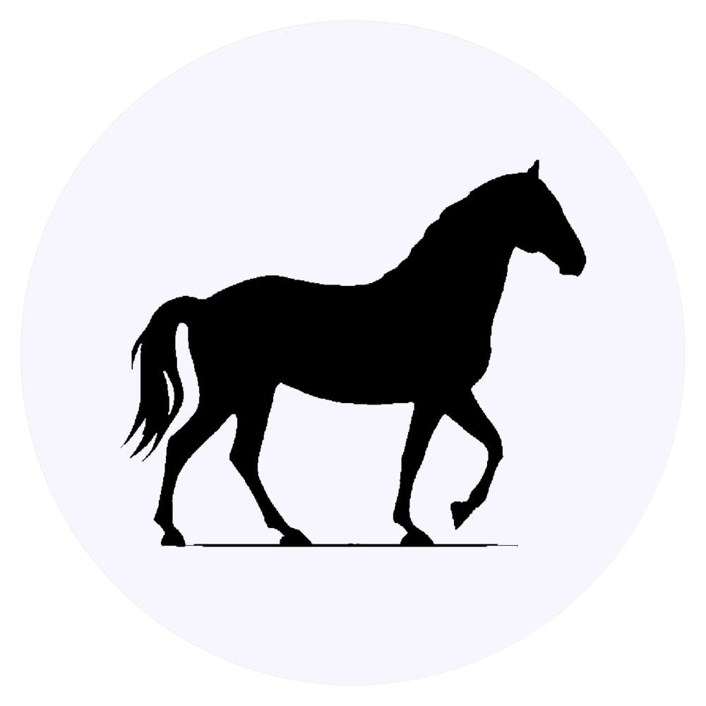24 x 'Horse Silhouette Side View ' Stickers - for Crafts, Scrapbooking and Labelling (SK00074682)