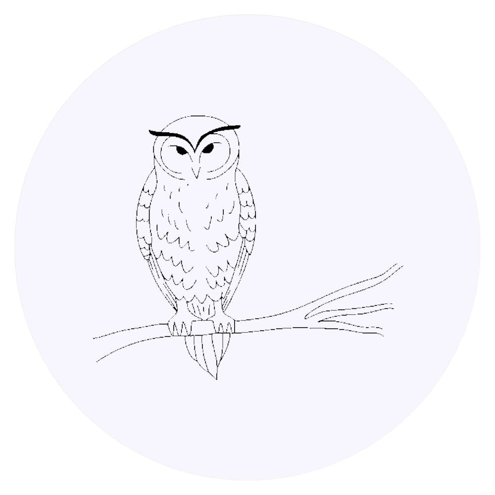 24 x 'Owl on Branch' Stickers - for Crafts, Scrapbooking and Labelling (SK00075008)