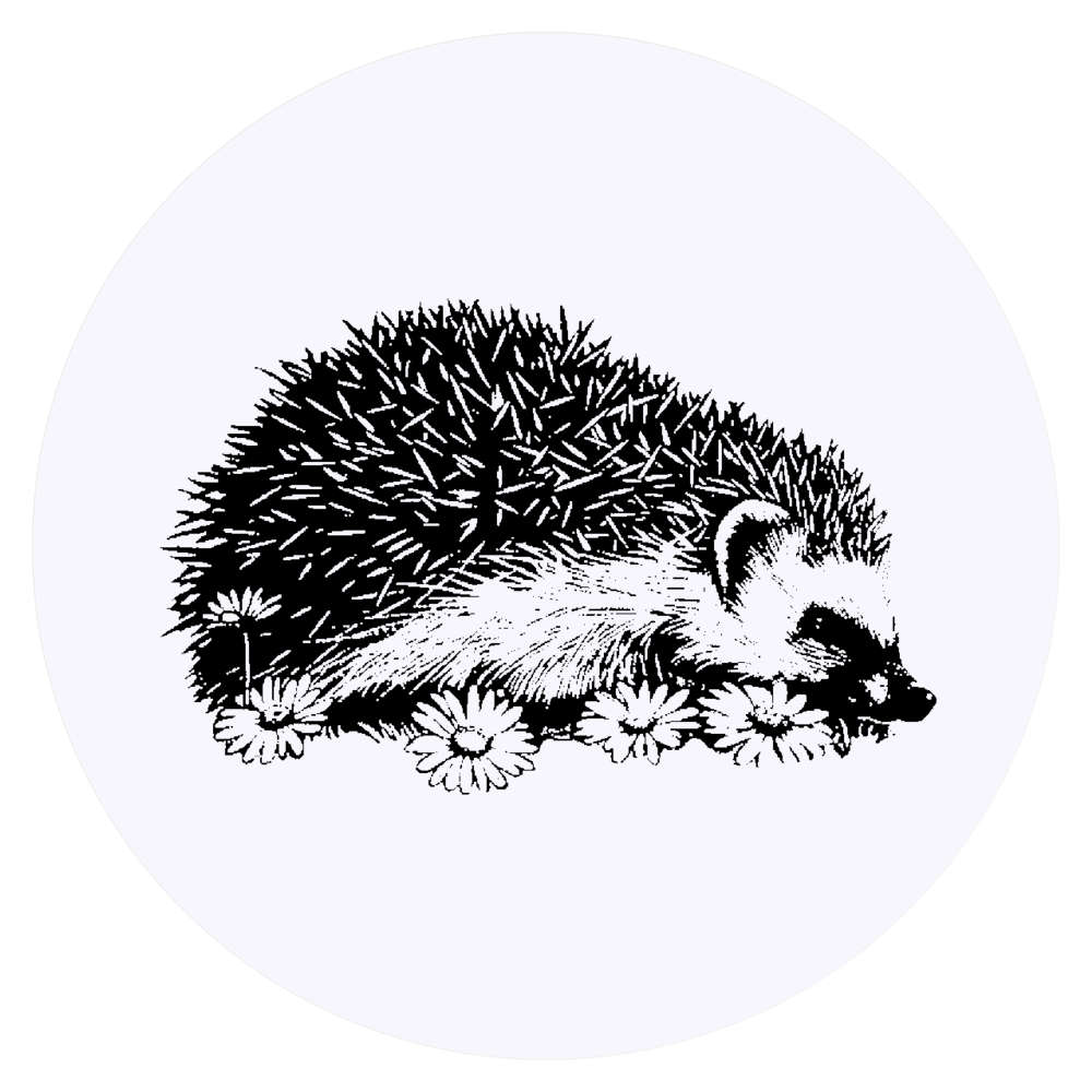 24 x 'Hedgehog with Flowers' Stickers - for Crafts, Scrapbooking and Labelling (SK00075128)