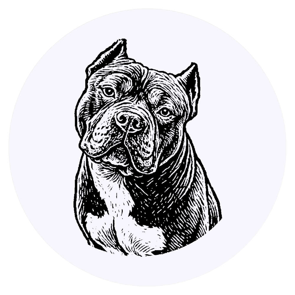 24 x 'American Bully Dog Portrait' Stickers - for Crafts, Scrapbooking and Labelling (SK00076037)