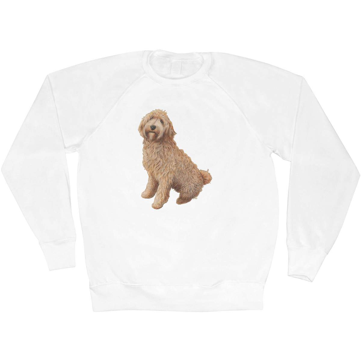 labradoodle sweater