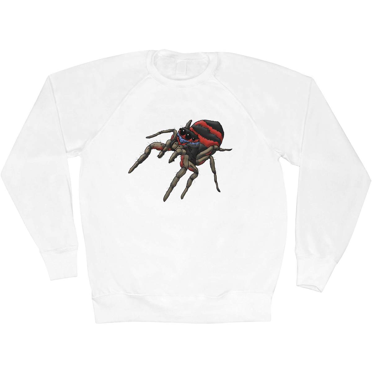 'Jumping Spider' Adult Sweatshirt / Sweater / Jumper (SW029811)
