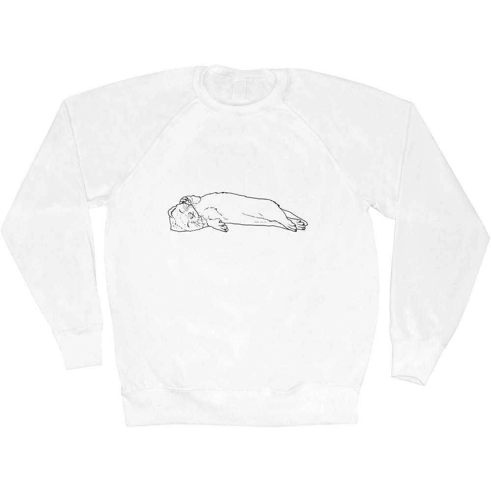 'Sleeping Baby Ferret' Adult Sweatshirt / Sweater / Jumper (SW030946)