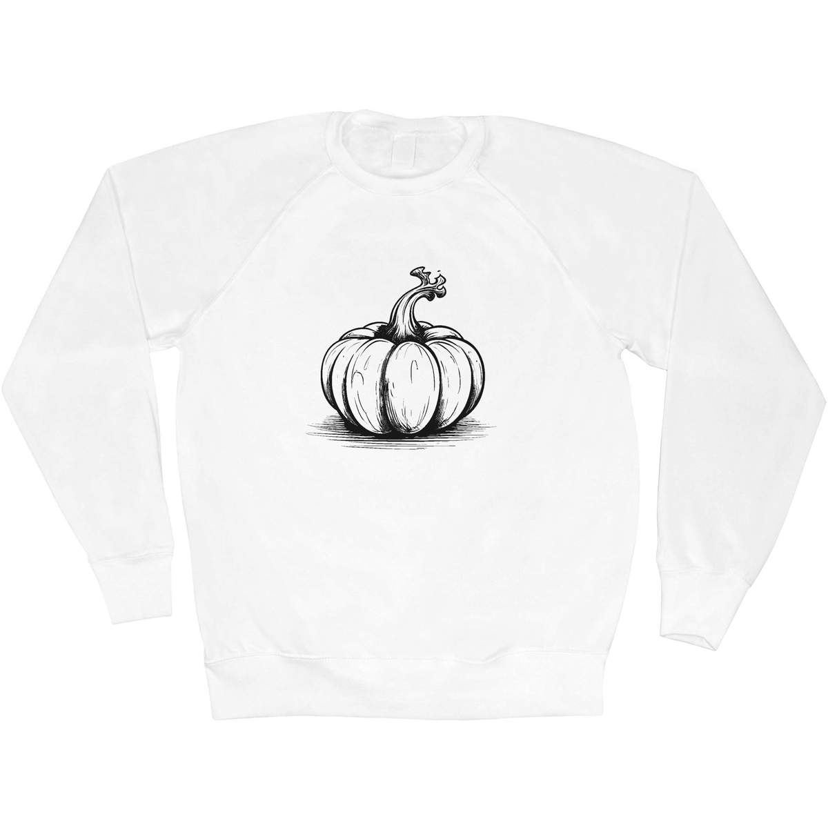 'pumpkin' Adult Sweatshirt / Sweater / Jumper (SW039382)