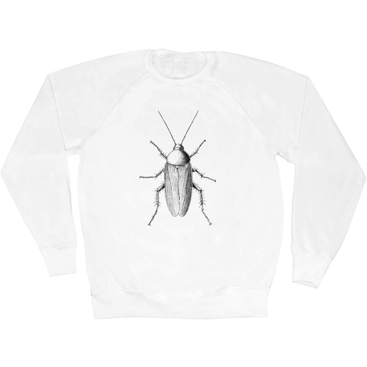 'Cockroach Top View' Adult Sweatshirt / Sweater / Jumper (SW052920)