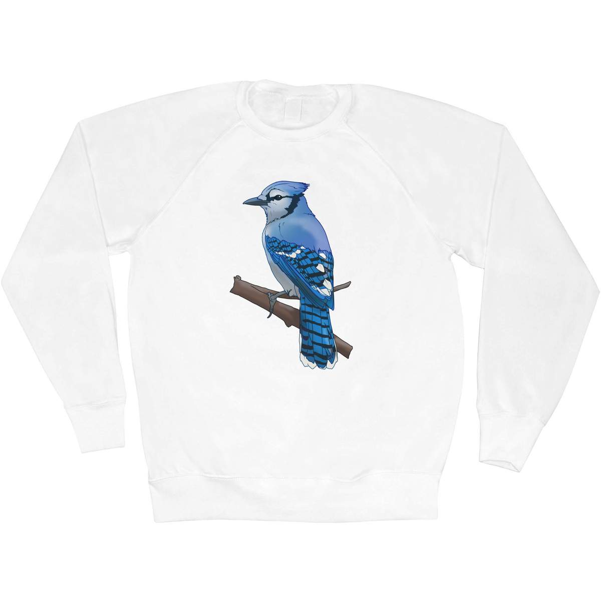 'Blue Jay on a Branch' Adult Sweatshirt / Sweater / Jumper (SW053580)