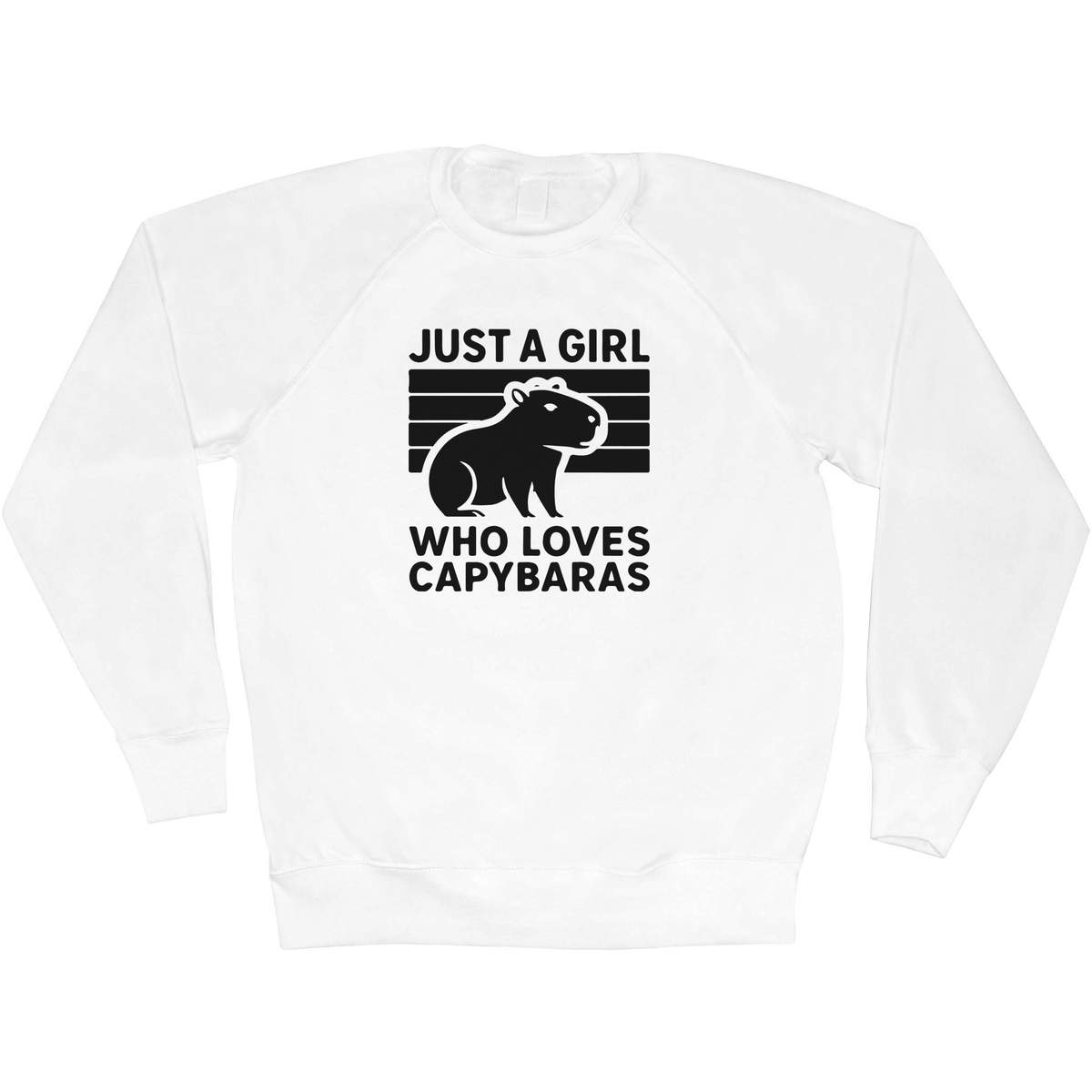 'Just a Capybara Lover' Adult Sweatshirt / Sweater / Jumper (SW056534)