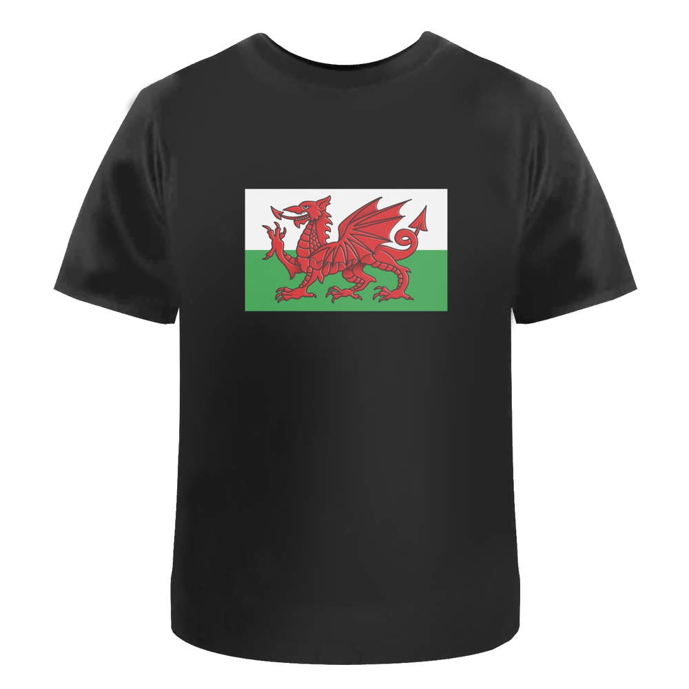 'Welsh Flag' Unisex T-Shirt - Patriotic Cymru Banner Red Beast - 100 % Cotton, Black, XXL (TA00239681)