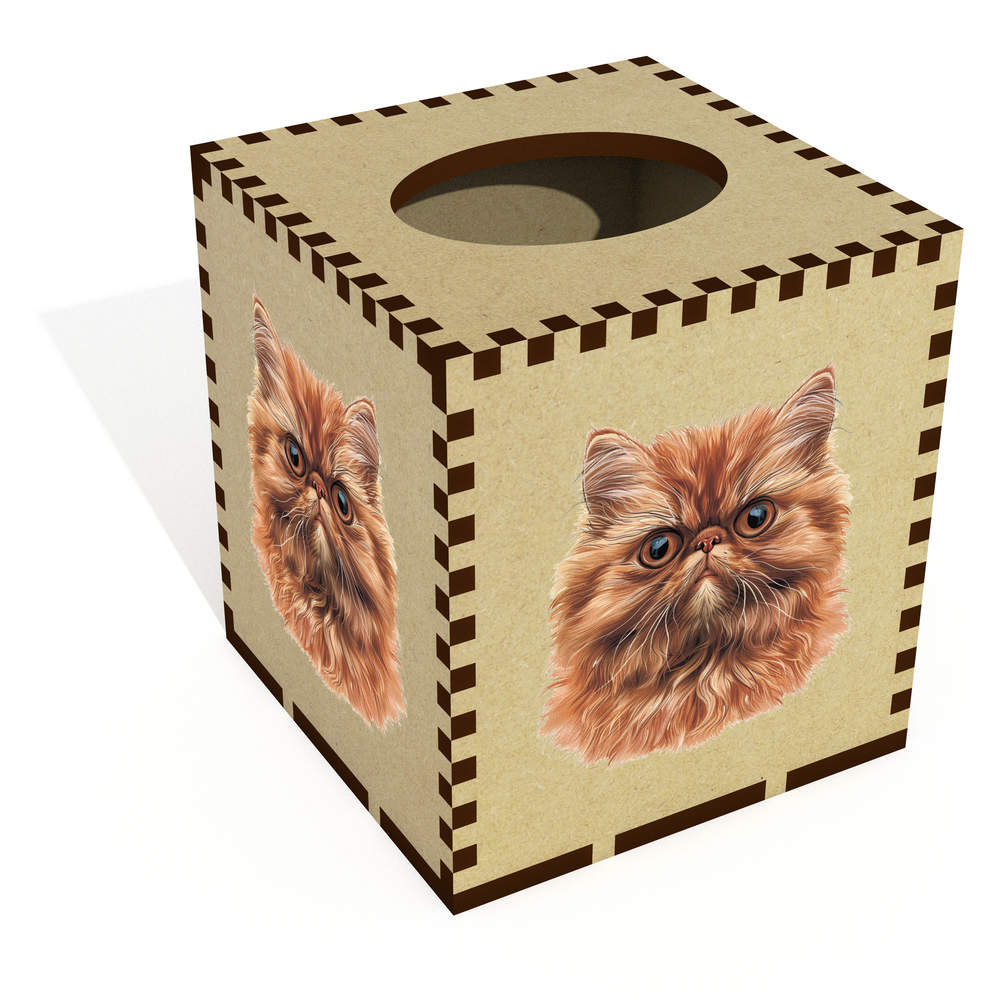 Square 'Persian Cat Front View' Wooden Tissue Box Cover (TB00062894)