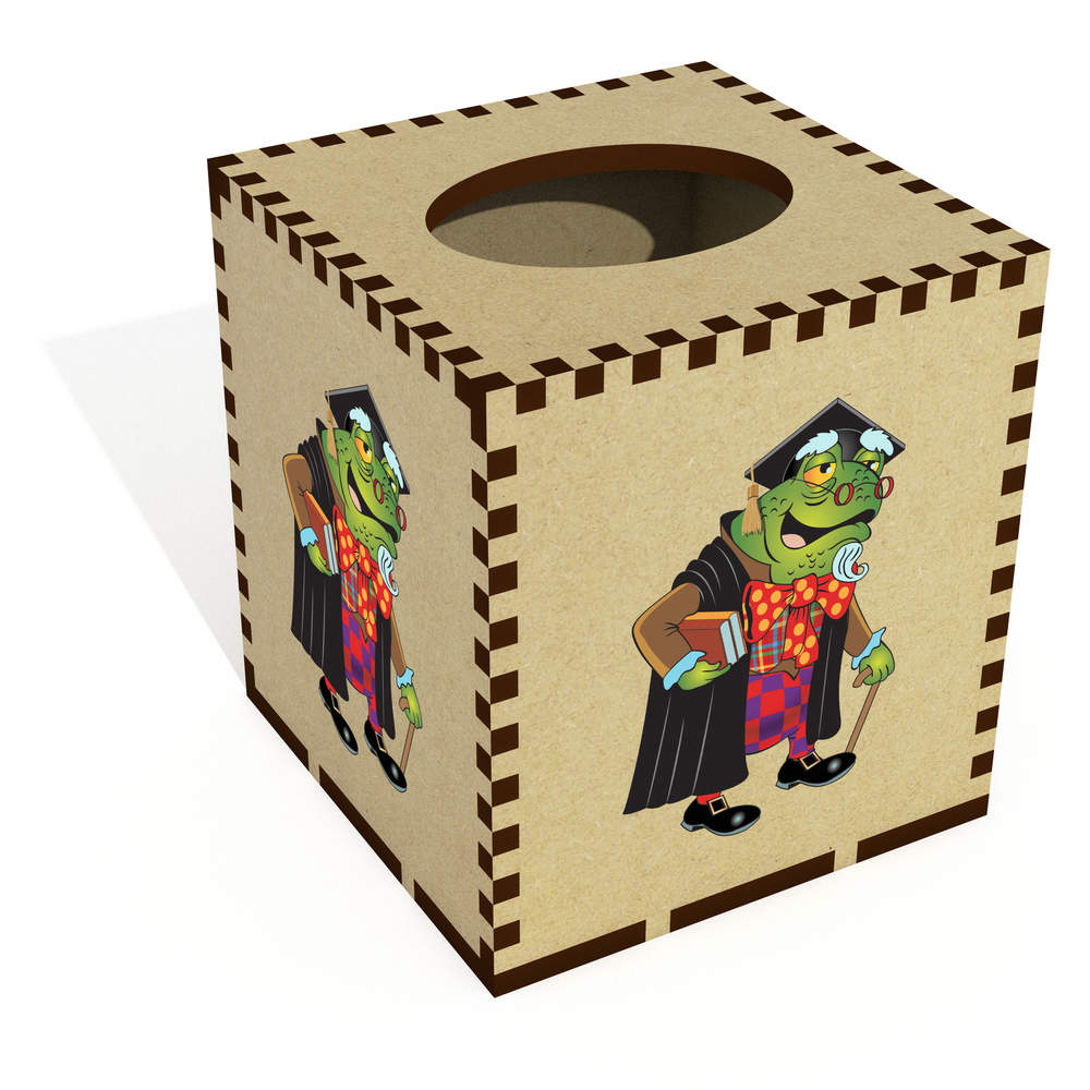 Square 'Professor Toad' Wooden Tissue Box Cover (TB00064277)