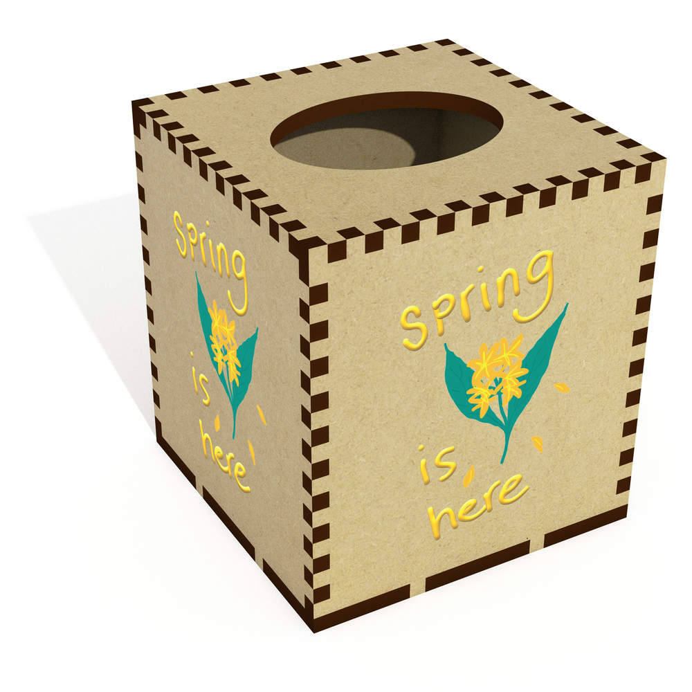 Square 'Spring Is Here' Wooden Tissue Box Cover (TB00065863)