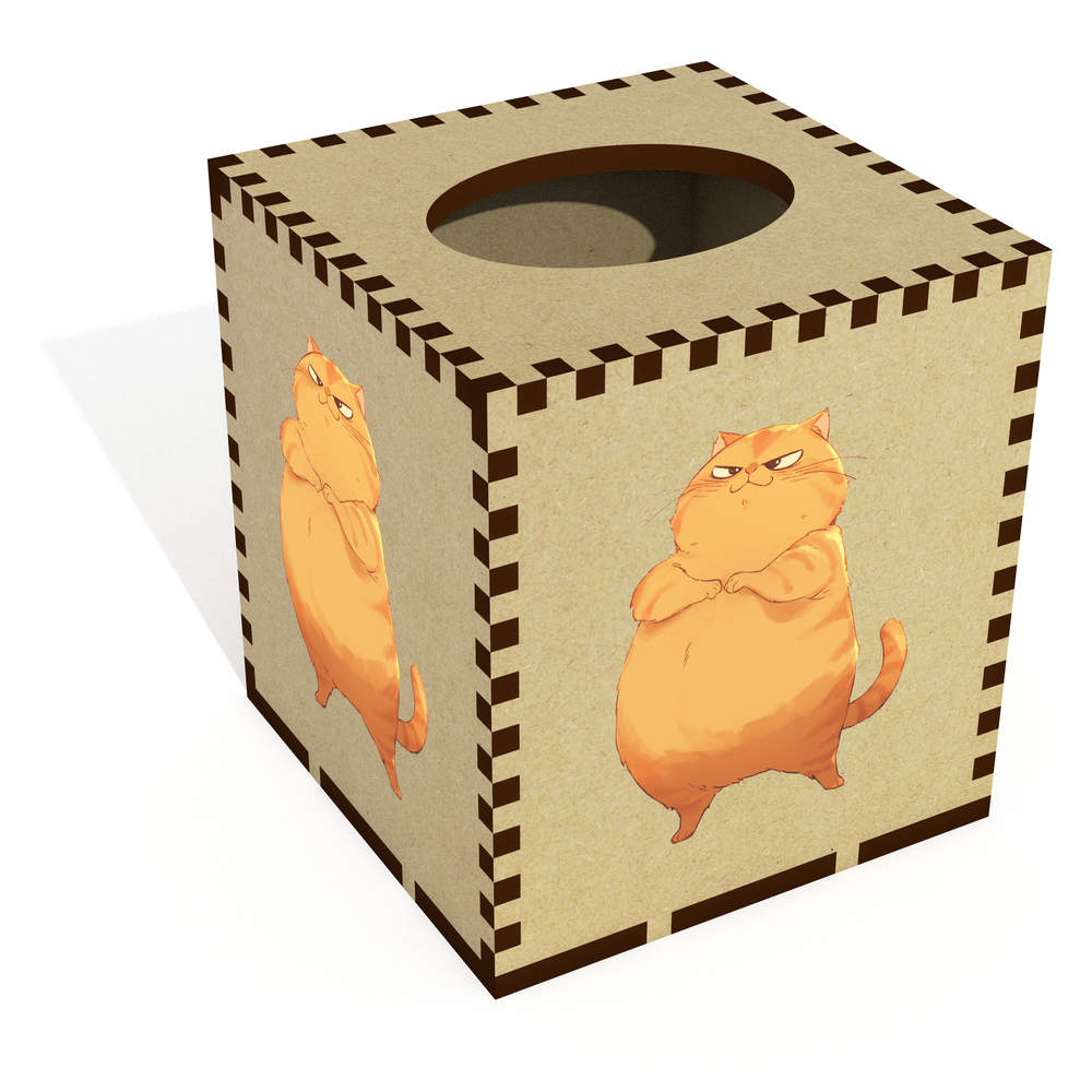 Square 'Fat Cat Standing' Wooden Tissue Box Cover (TB00067213)