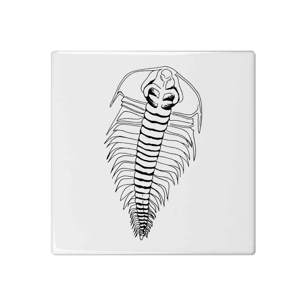 'Trilobite' 108mm Square Ceramic Tile (TD00001816)