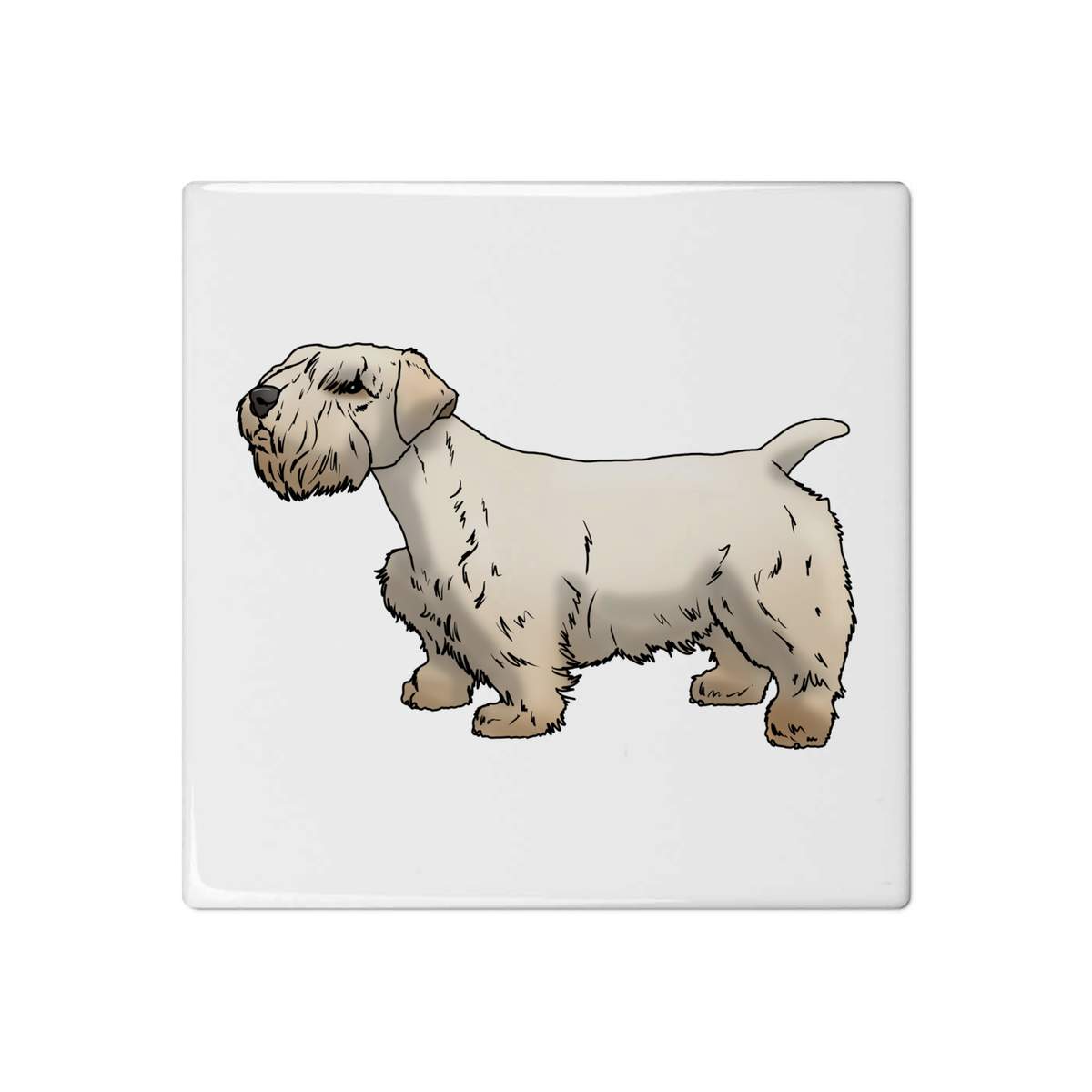 'Sealyham Terrier' 108mm Square Ceramic Tile (TD00018954)
