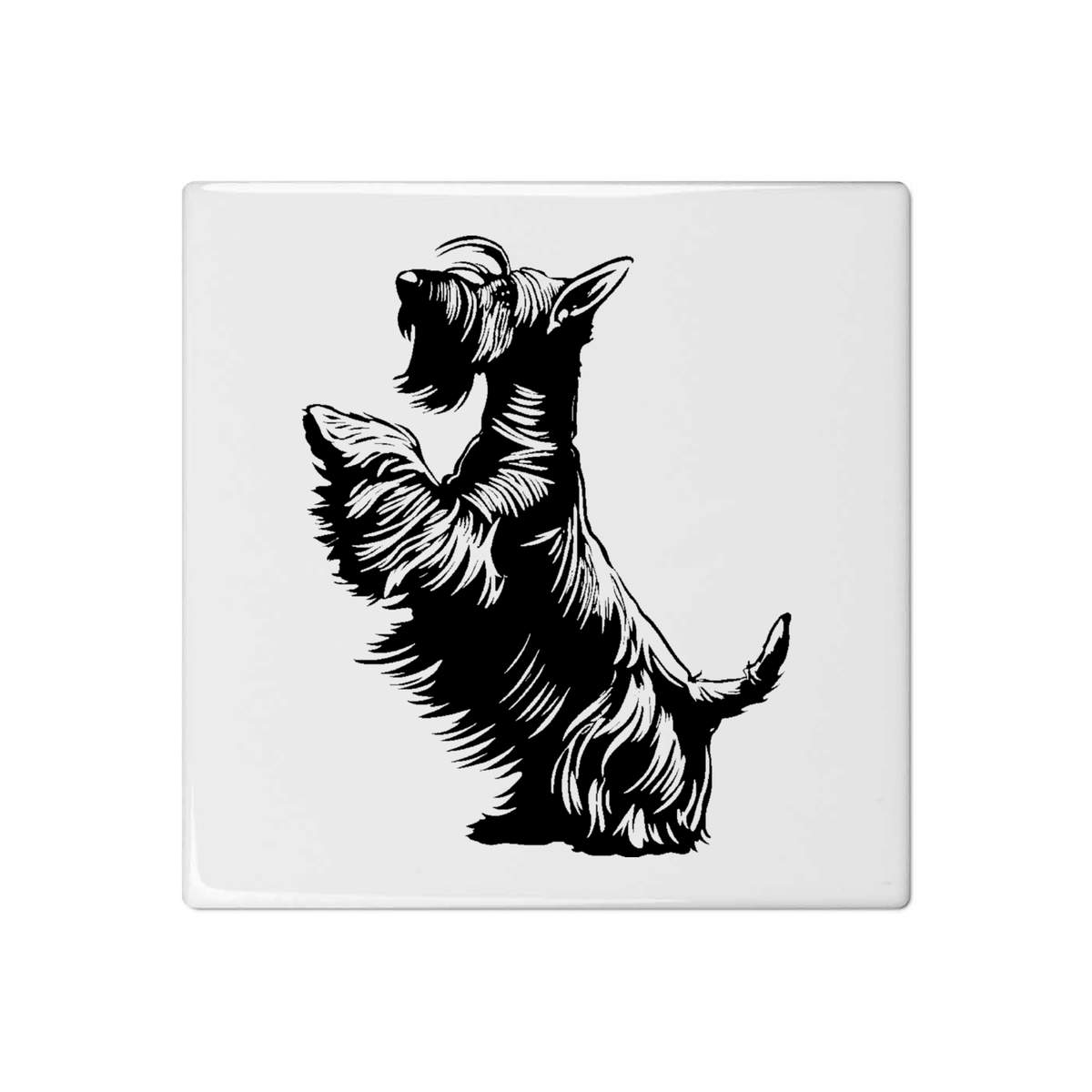 'Scottish Terrier on Hind Legs' 108mm Square Ceramic Tile (TD00034421)