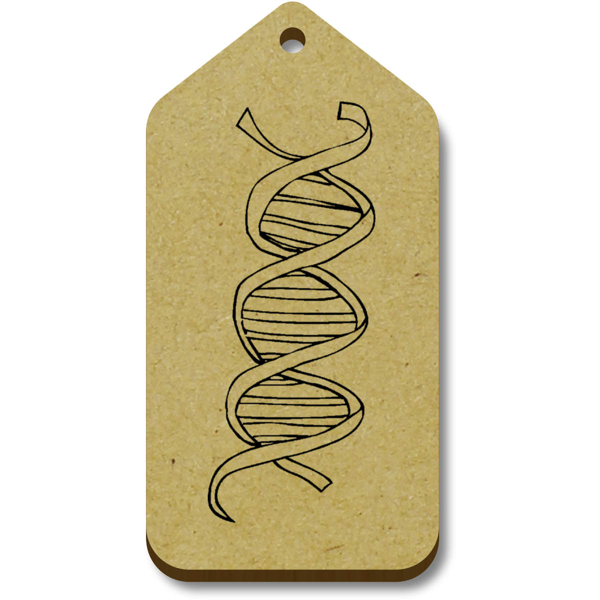 'DNA Strand' Gift / Luggage Tags (TG008782)