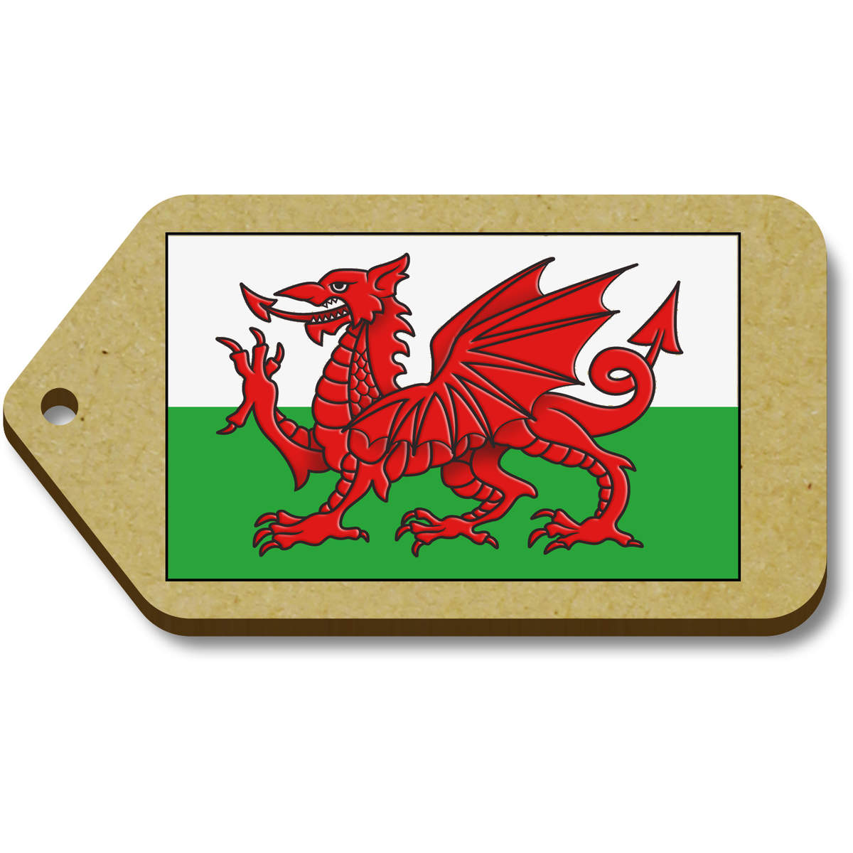'Welsh Flag' Gift / Luggage Tags (TG023174)
