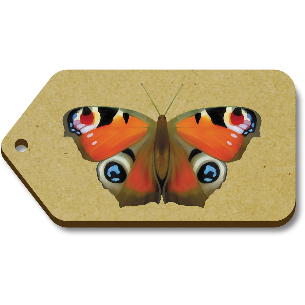 PEACOCK BUTTERFLY\