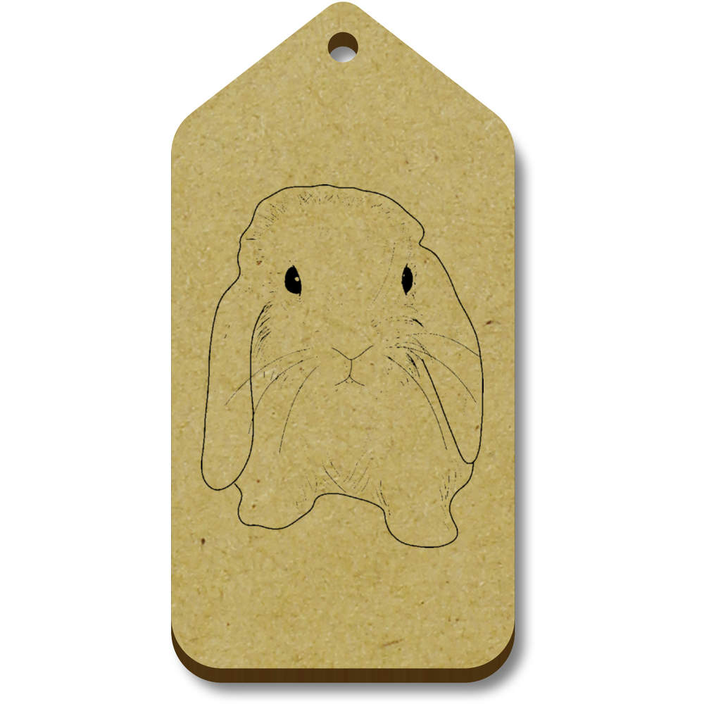 'Bunny' Gift / Luggage Tags (Pack of 10) (TG026515)