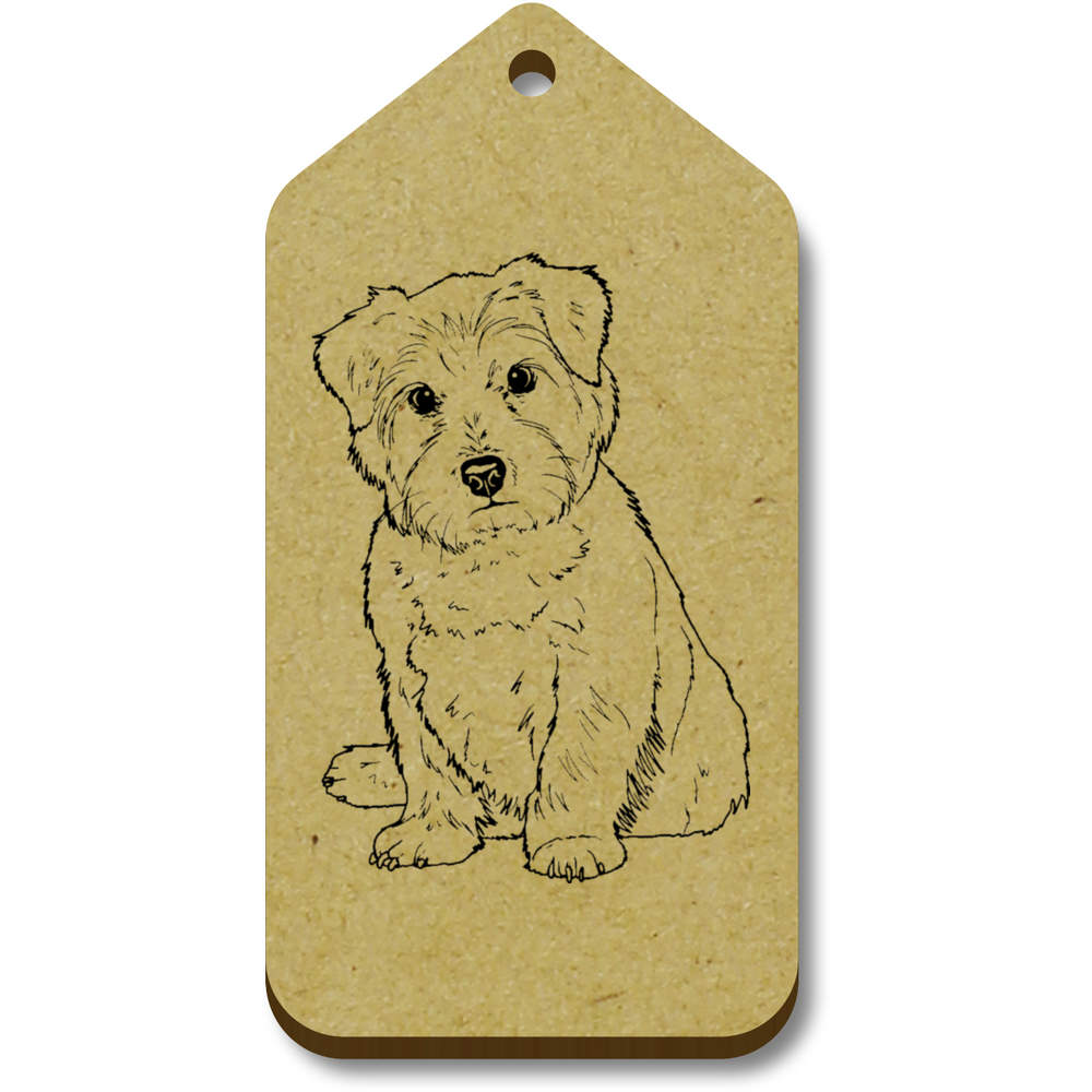 'Norfolk Terrier' Gift / Luggage Tags (TG030269)